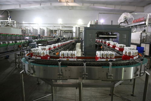 餐桌上的食品安全無小事,走進(jìn)沈陽綠色工廠,探訪神秘生產(chǎn)線